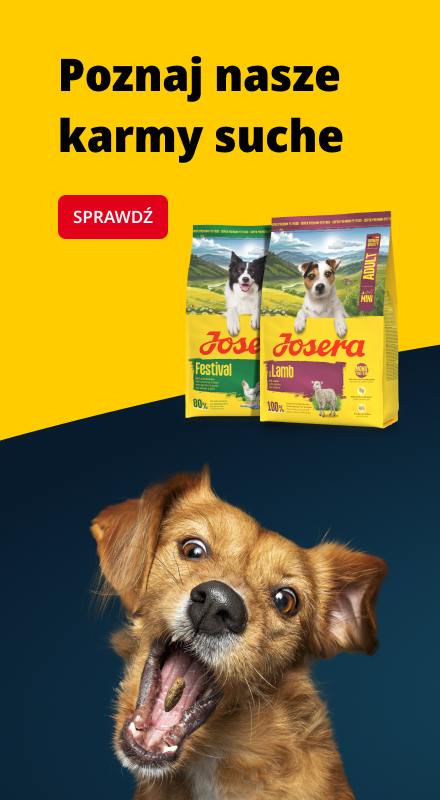 Banner dla psów (mobile)