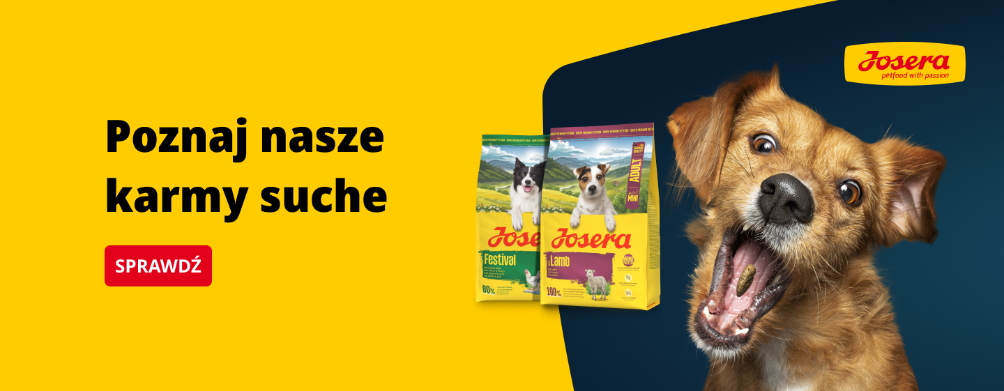 Banner dla psów